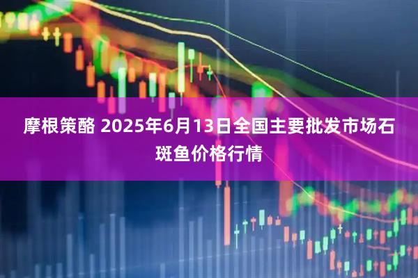 摩根策酪 2025年6月13日全国主要批发市场石斑鱼价格行情