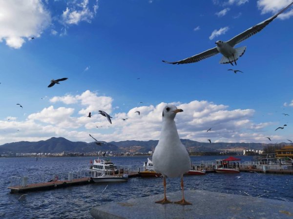 智赢策略 生育支持体系不断完善，  越来越多村社宣布奖励生娃