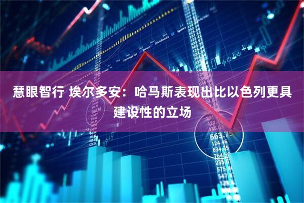 慧眼智行 埃尔多安：哈马斯表现出比以色列更具建设性的立场